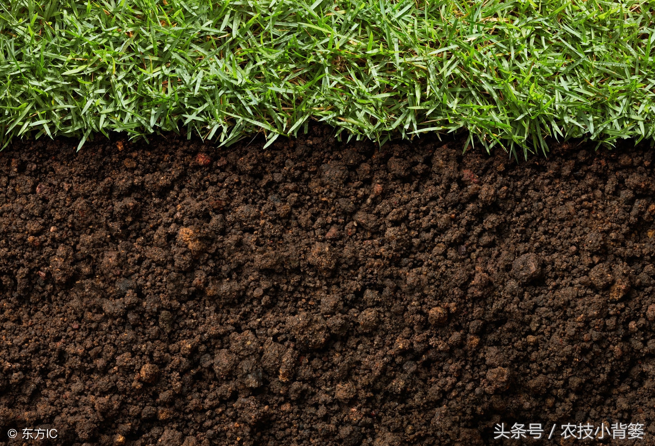 怎么看土壤是酸性还是碱性,怎么看出来土地的酸碱性