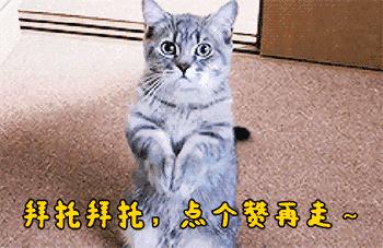 黄晓明投资失误怎么看待,黄晓明否认卷入巨额股票操纵案