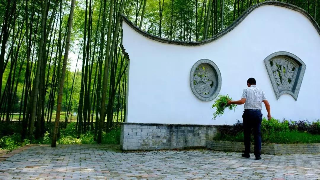 提到浙江会想起什么,提到浙江你最先想到什么