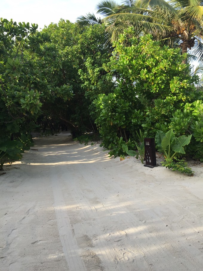 马代有毒，去过就停不下来~马尔代夫奥臻岛ozen