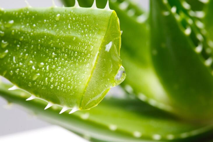 后背螨虫最佳去除方法,后背长螨虫解决方法