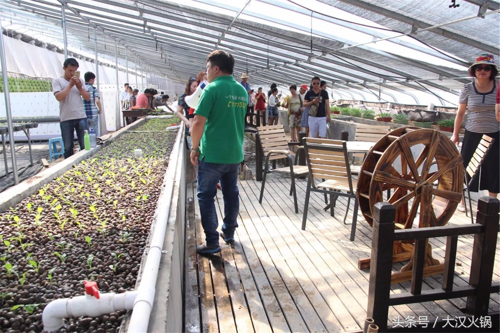 大汉火锅成都,大汉火锅中兴路