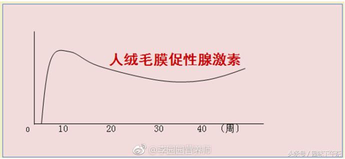 早孕反应强烈是因为hcg高吗,早孕反应为什么会饿得厉害