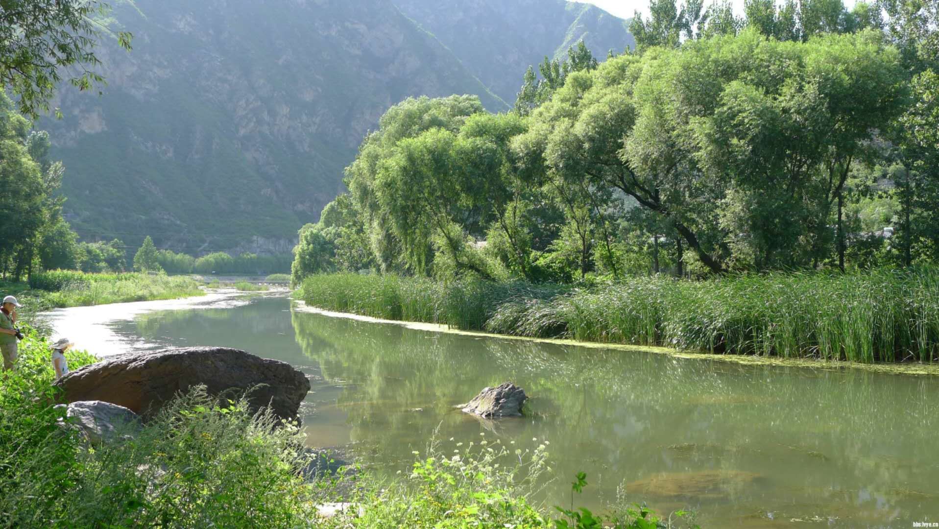 《听弹琴》老土学唐诗（二十七）文/逸