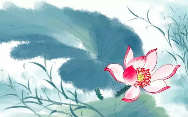 生肖97年的牛适合婚配啥属相,男蛇最佳婚配属相