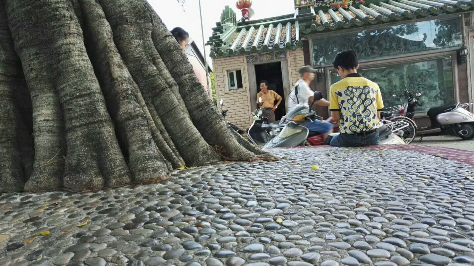 葵潭的往事,葵潭的专属话题