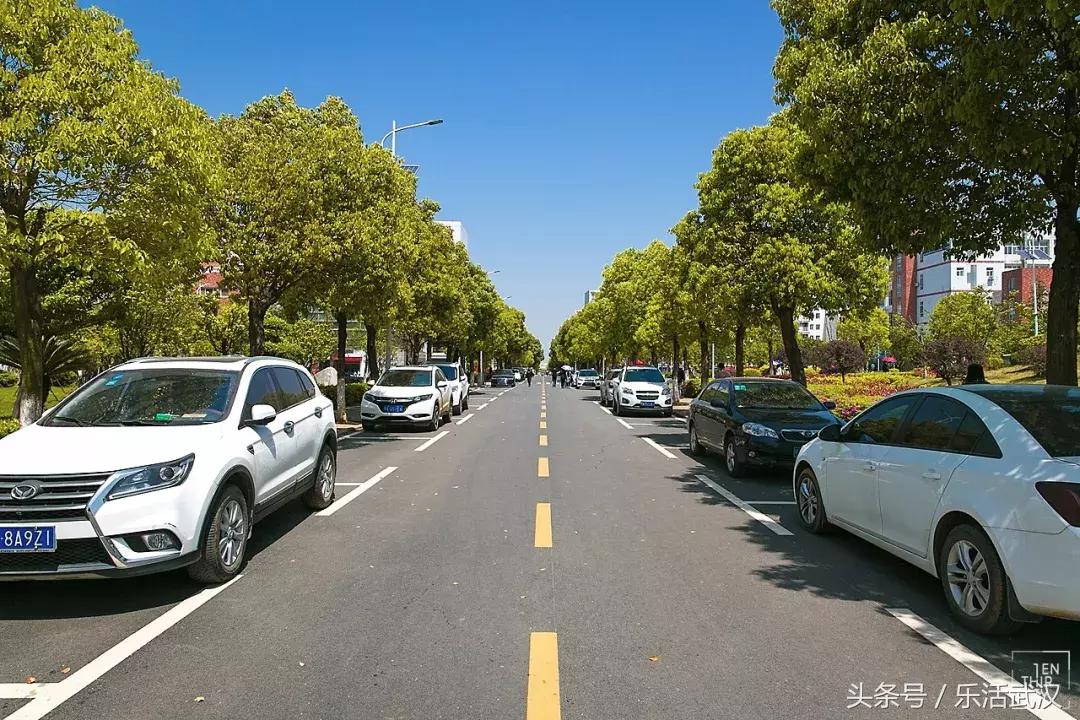 武汉有名的别称,武汉各个大学绰号