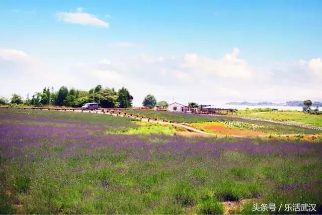 江夏不为人知的地方,江夏是啥地方