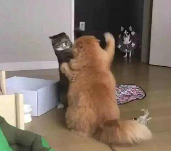 儿童报警求助知识,孩子报警求助教科书