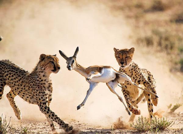 如果中国股市暴跌会怎么样,如果再次爆发金融危机股市会怎样