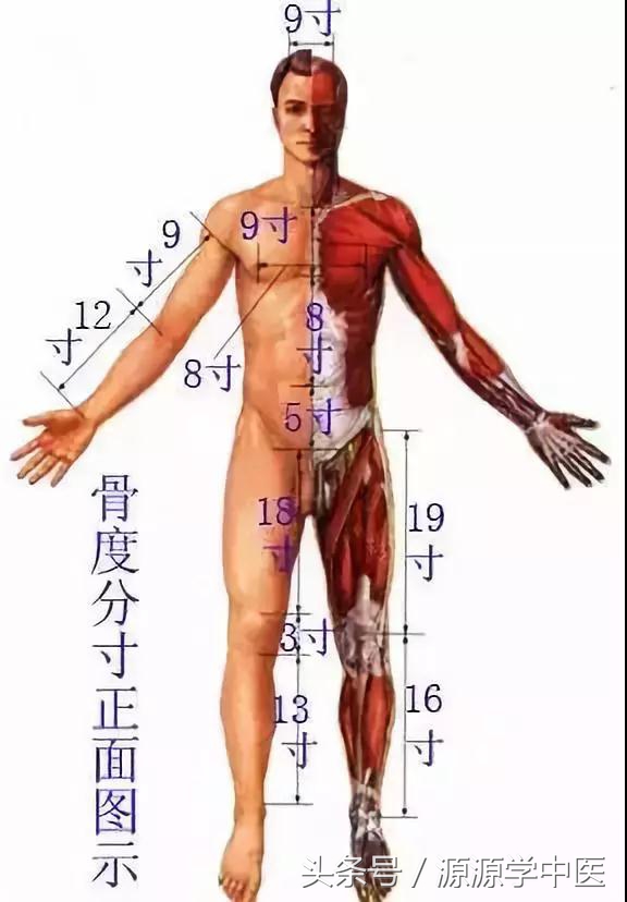 针灸推拿穴位图,常用穴位快速取穴