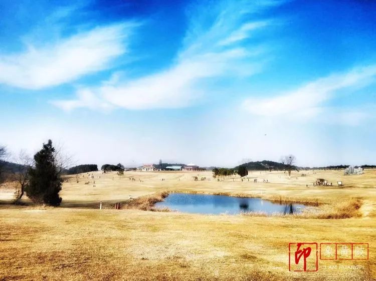 黄陂好景何处觅，火塔公路几十里