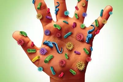 口腔疱疹发热怎么办,小孩发热口腔有疱疹