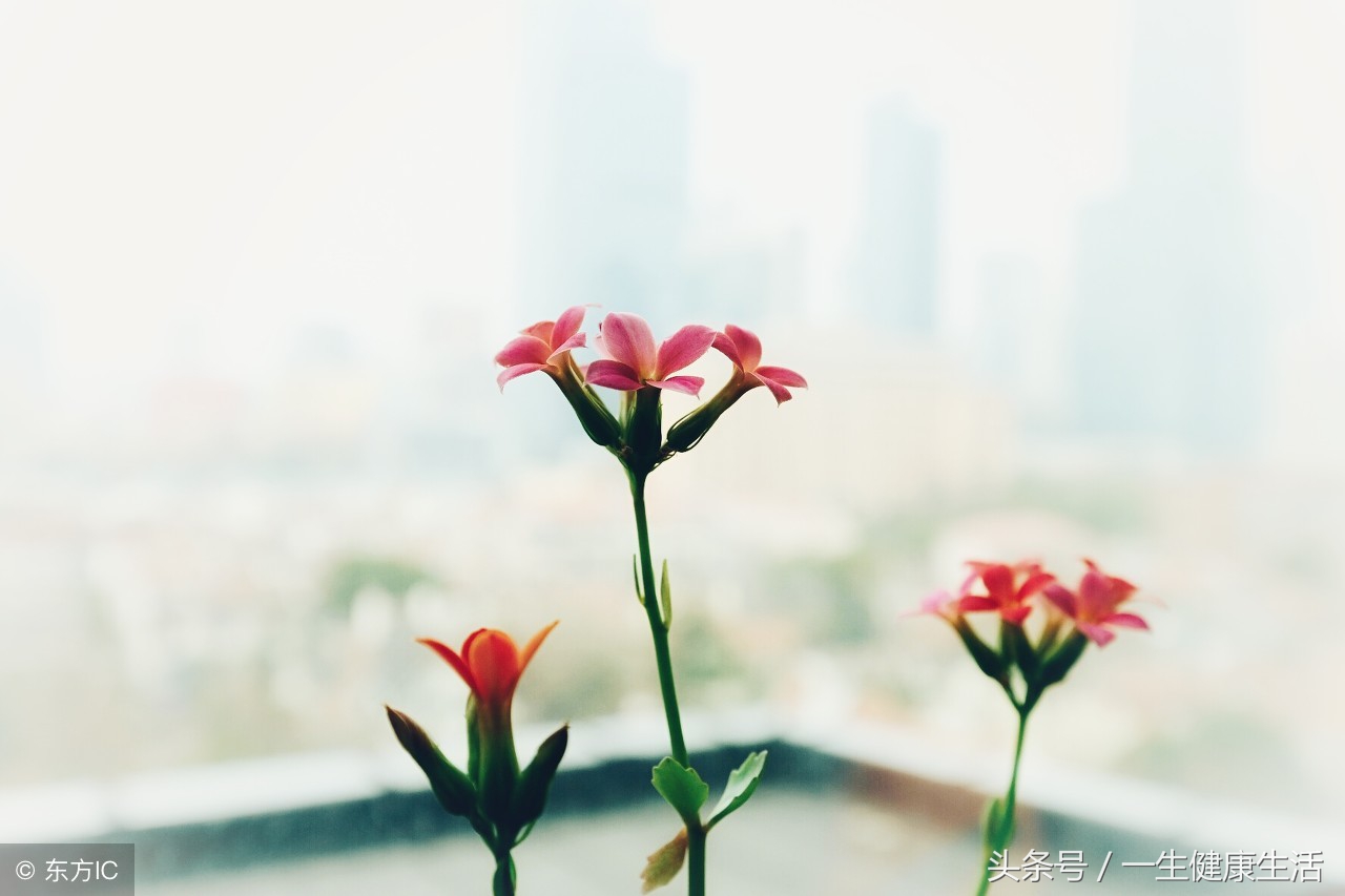 「N+」这些情况不能有*生活性**！