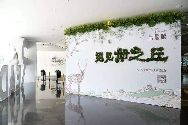 宝能城楼王,宝能城顶楼大平层