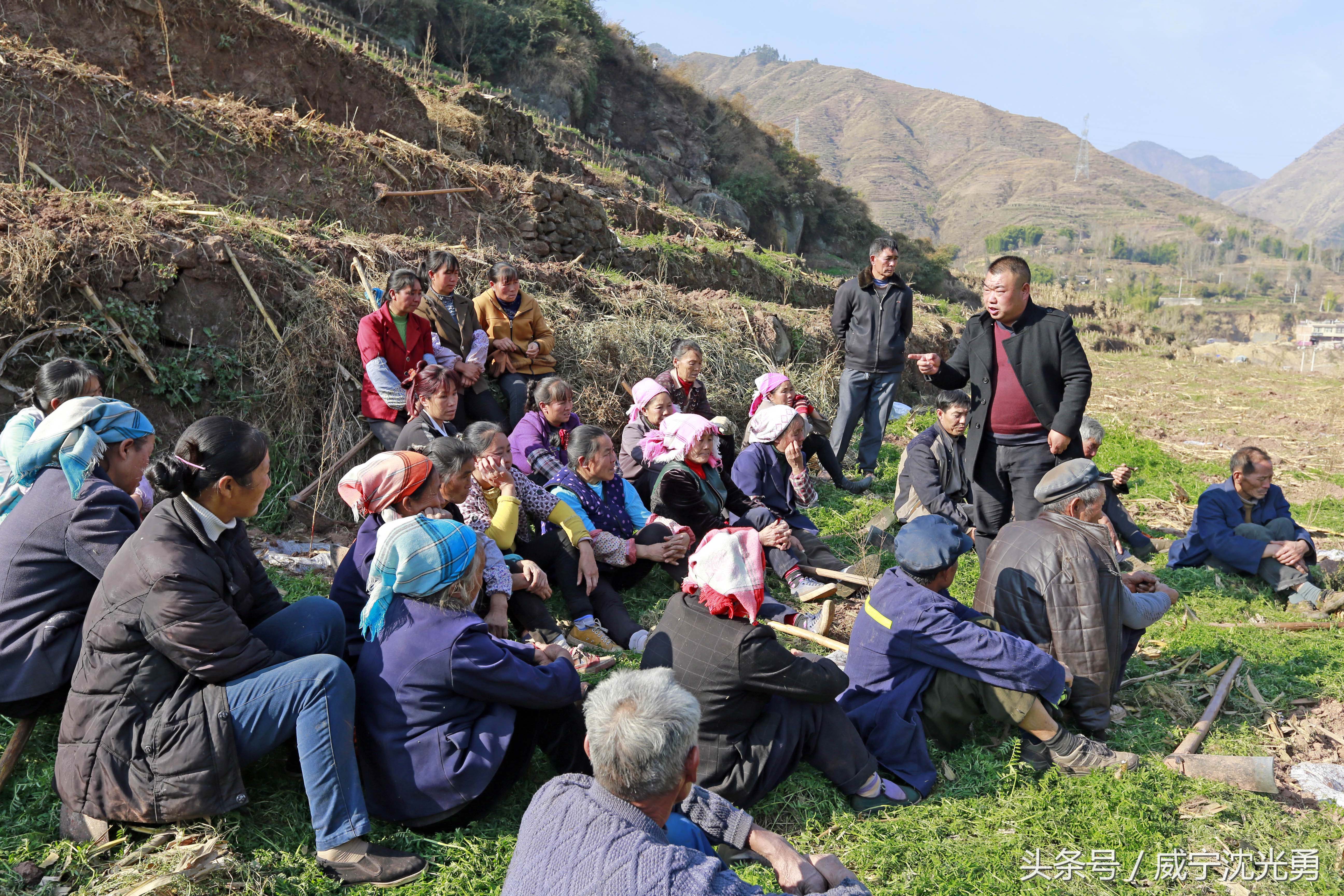 会理青皮软籽石榴种植技术,软籽石榴种植致富案例