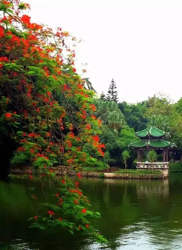 南国有嘉木的下一句是什么,南国有嘉木出处