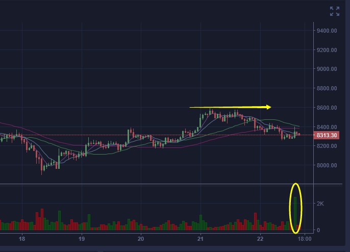 平台币泛滥与暴跌,平台币的趋势