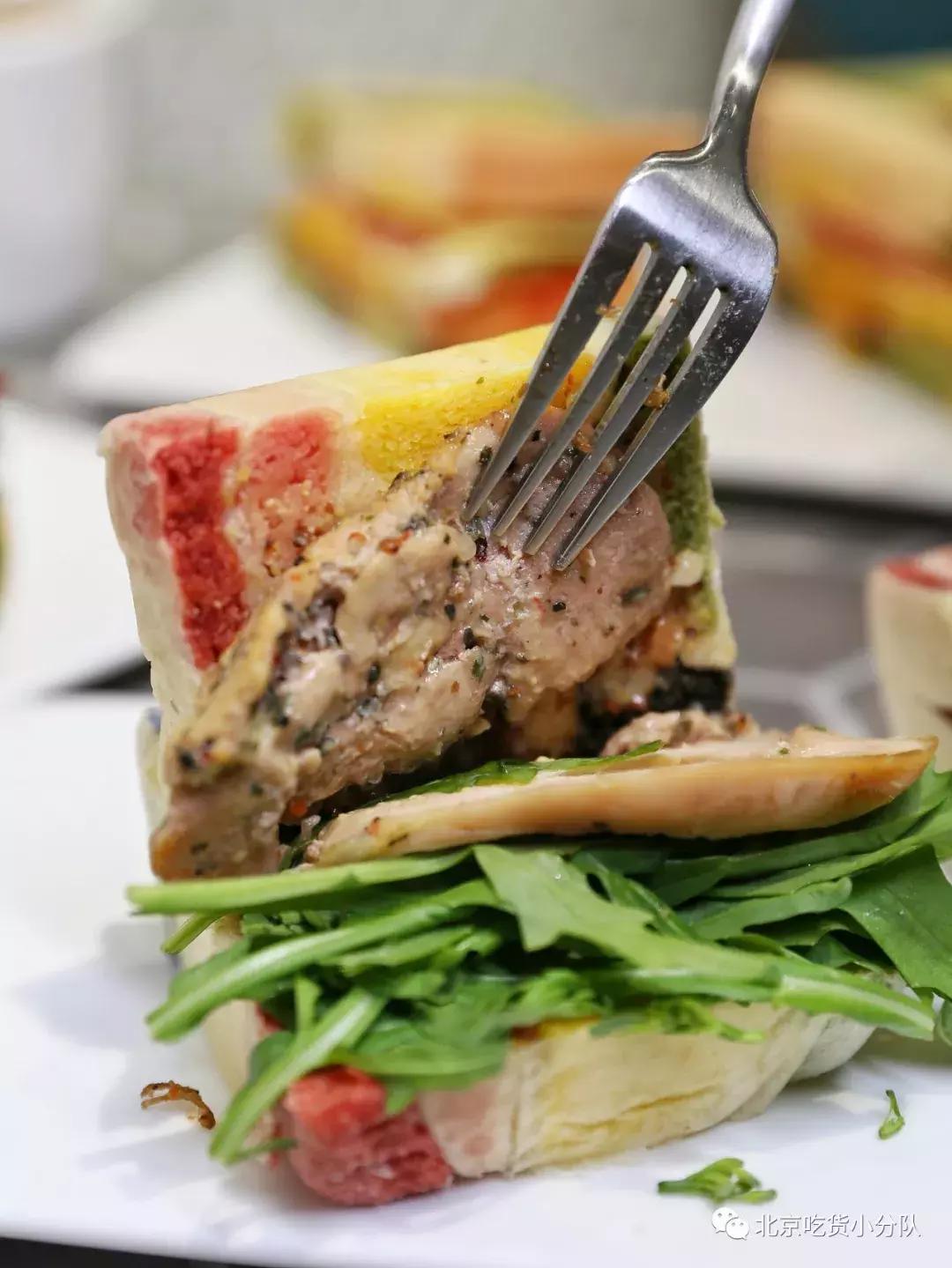 可爱的小奶狗吃冰激凌,小奶狗吃各种各样的冰淇淋