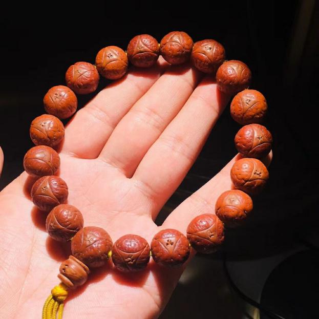 凤眼菩提的玩法和禁忌,凤眼菩提怎么度过尴尬期