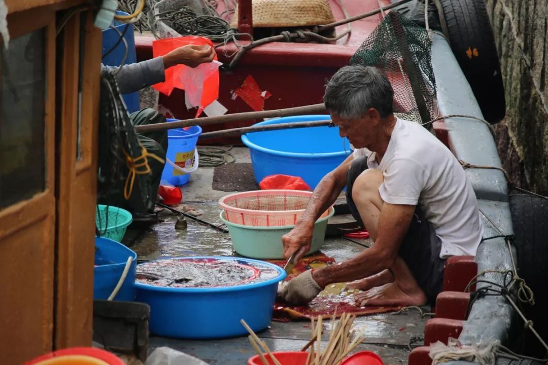 香港仔避风塘的介绍,香港仔避风塘图片
