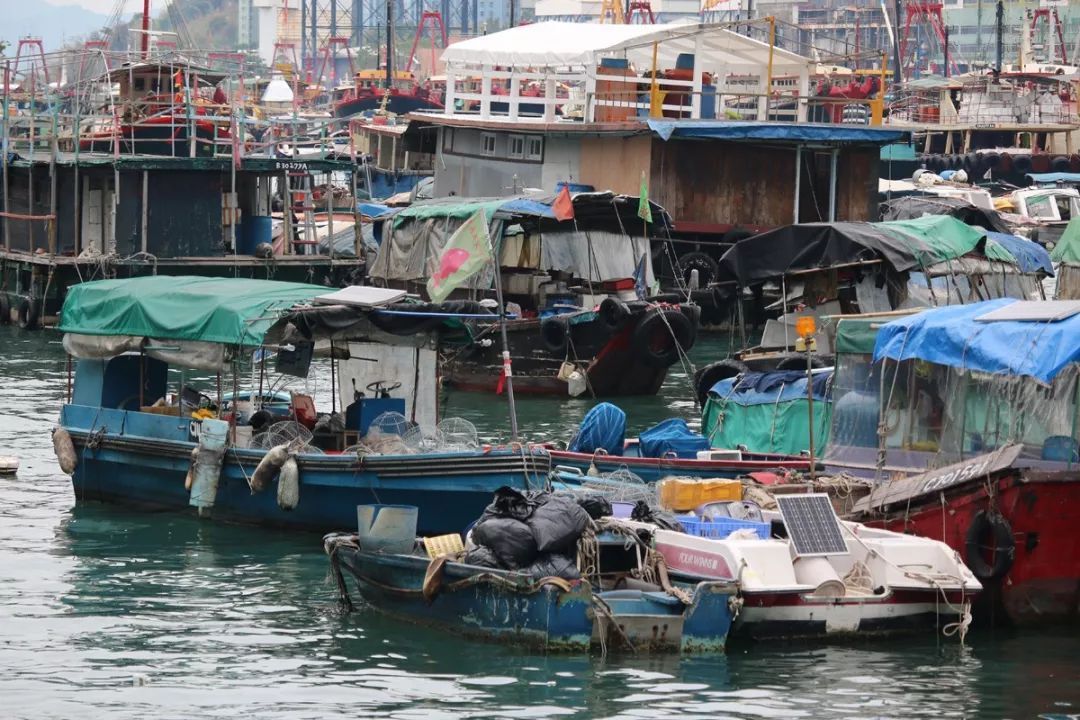 香港仔避风塘的介绍,香港仔避风塘图片