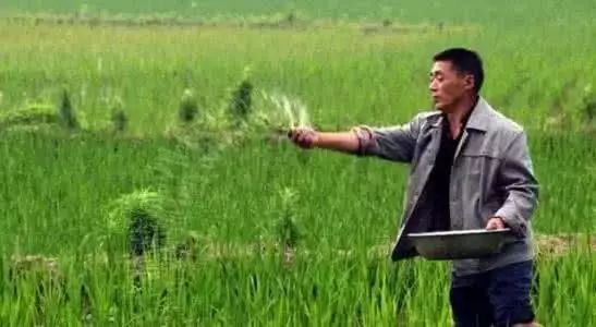 几种钾肥的使用,常用哪几种钾肥