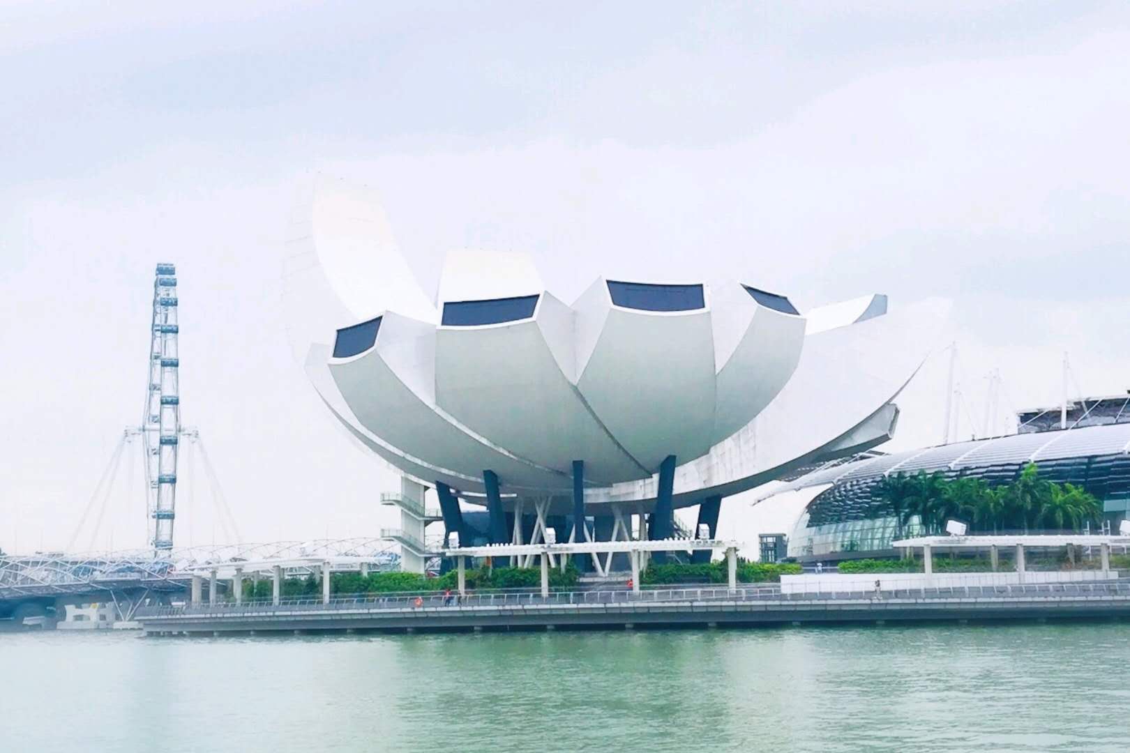 向上的力量2018,向上的力量2019演讲盛典