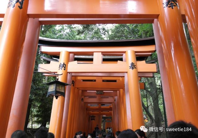 京都大阪奈良旅游游记,暴走大阪京都