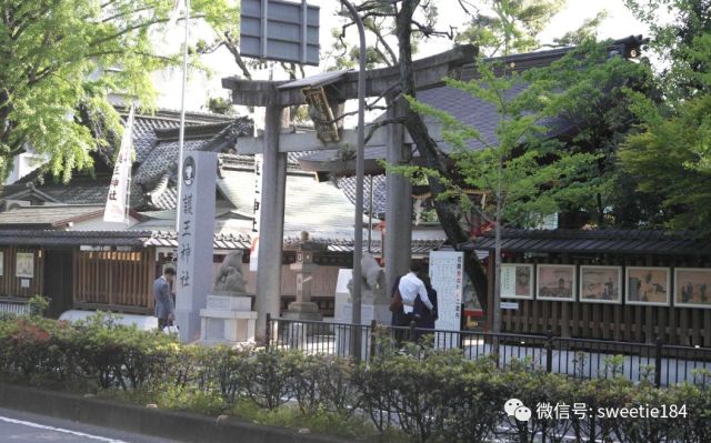 京都大阪奈良旅游游记,暴走大阪京都