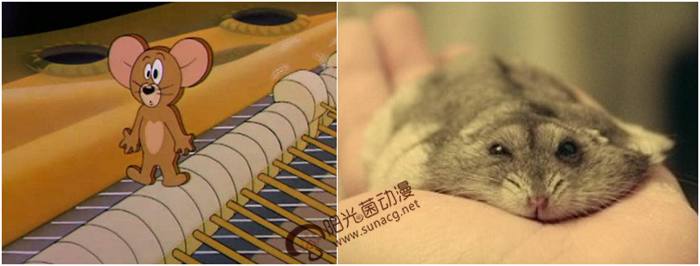 猫和老鼠里面的杰瑞真的去世了吗,猫和老鼠中杰瑞身边的绿老鼠