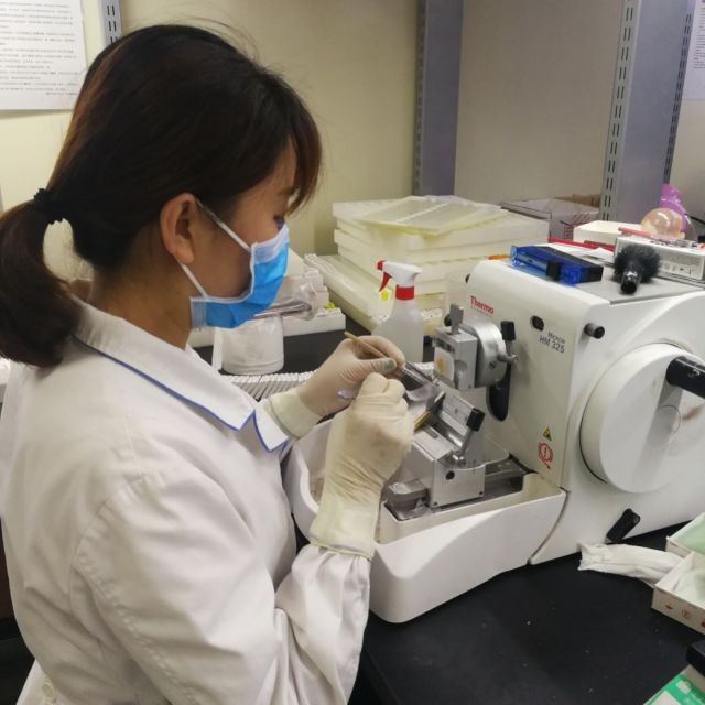 病理报告为什么不能确诊,病理报告为啥什么也没写