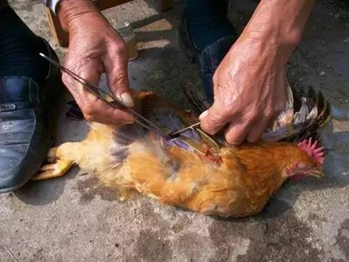 江西遂川老家视频,遂川县城的老县城照片