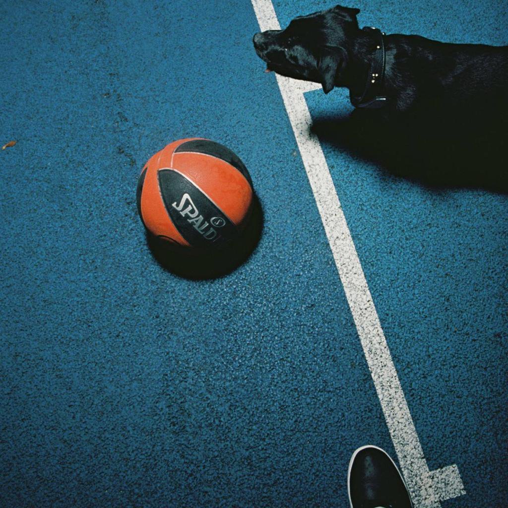 美国最受欢迎体育项目排名,nba在美国体育赛事排第几