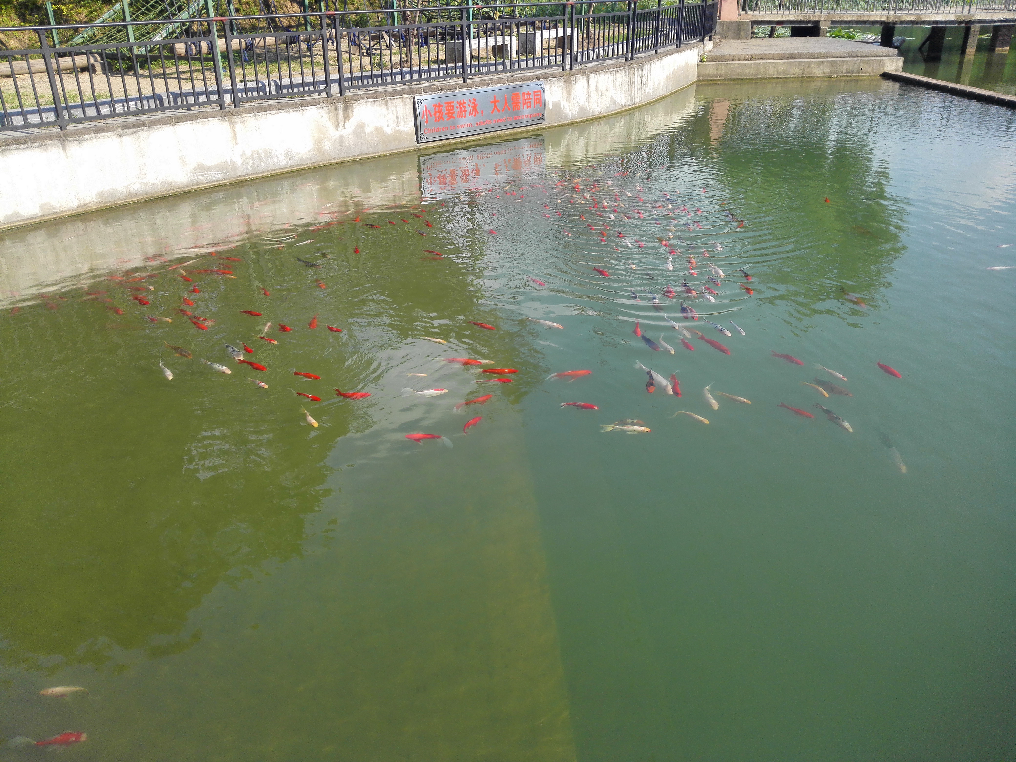 广西全州农庄排名,广西全州县绕村绿岛生态农庄