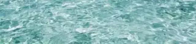 知乎上点赞最高的十条神回复,来自知乎的32个神回复笑死我了