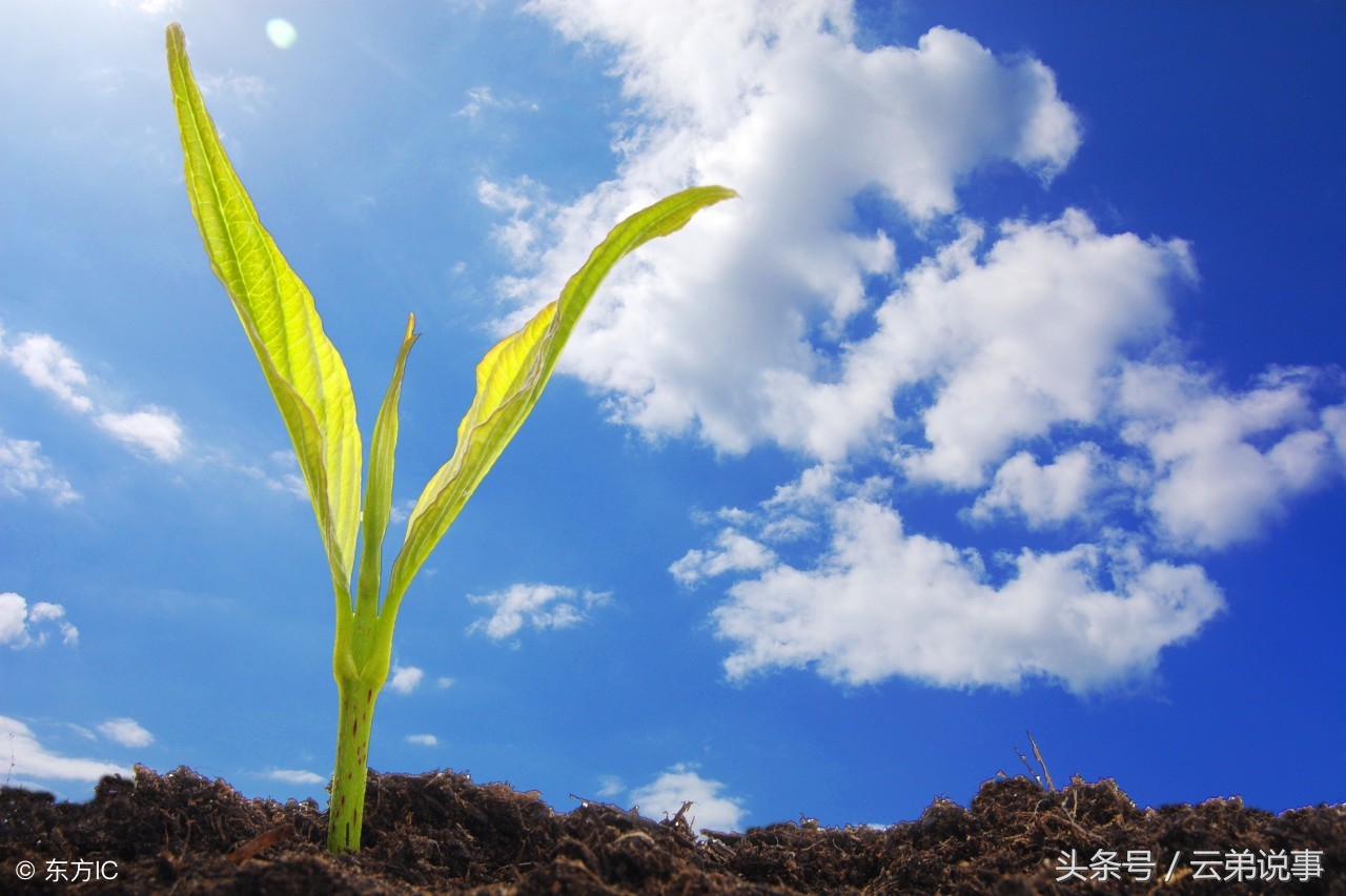 心不屈，定不凡，30余载资深风水王师傅教你如何面对人生无常！