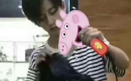 戴森的吹风机为什么很贵 (戴森的吹风机为什么那么贵)