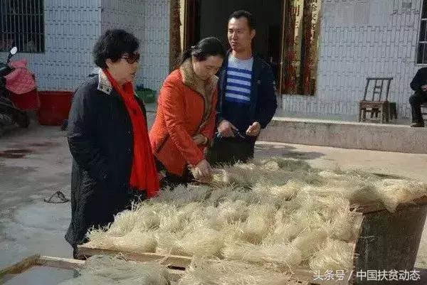 产业分红脱贫户乐开颜,产业兴乡村美农民富