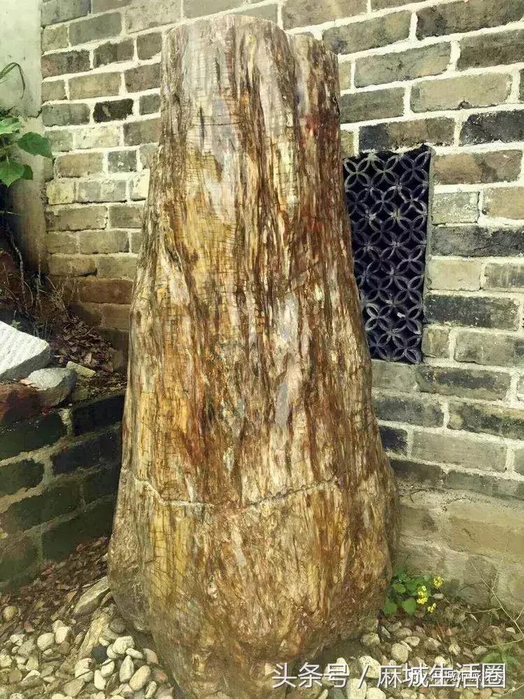 奇闻!文艺大咖在麻城找到梦里桃源,小山坳变艺术村