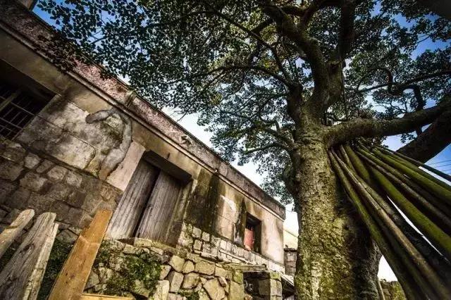 宁波五一适合去的海边,宁波附近绝美海岛