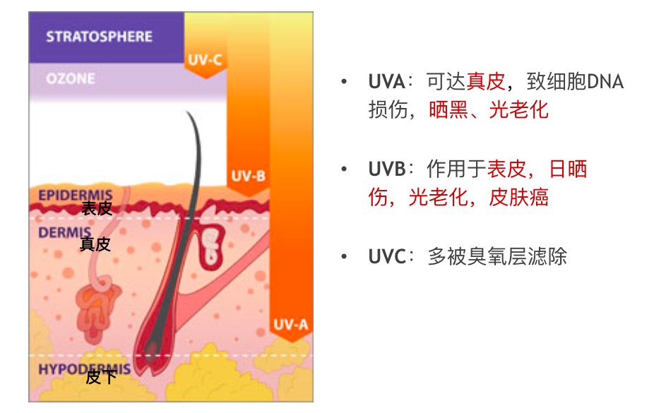 夏季皮肤病护肤,皮肤科医生教你夏季护肤