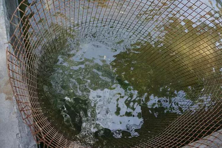 淄博淄川天晴湾户外唱歌,淄川龙泉天晴湾风景区