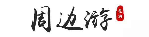 清甜爽脆的台湾甜桃已开采摘啦！30元任摘任吃！速度约起来！