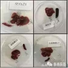 条条大道通罗马：中国民营企业55种融资方式