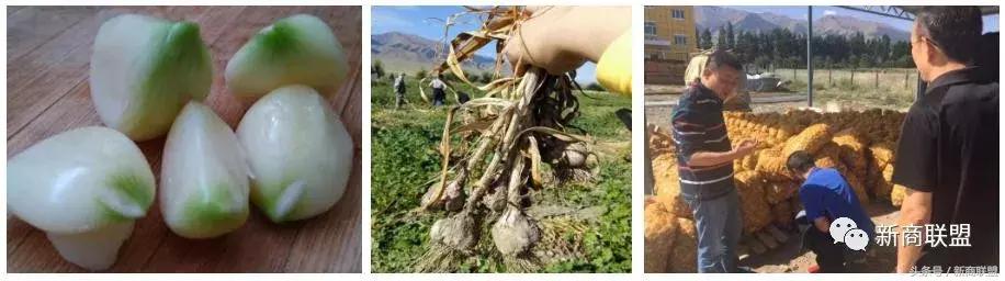 条条大道通罗马：中国民营企业55种融资方式