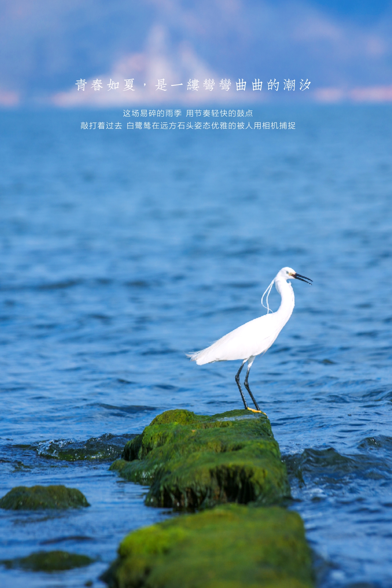 大理每个季节都很美,在大理每天都是那么的美好