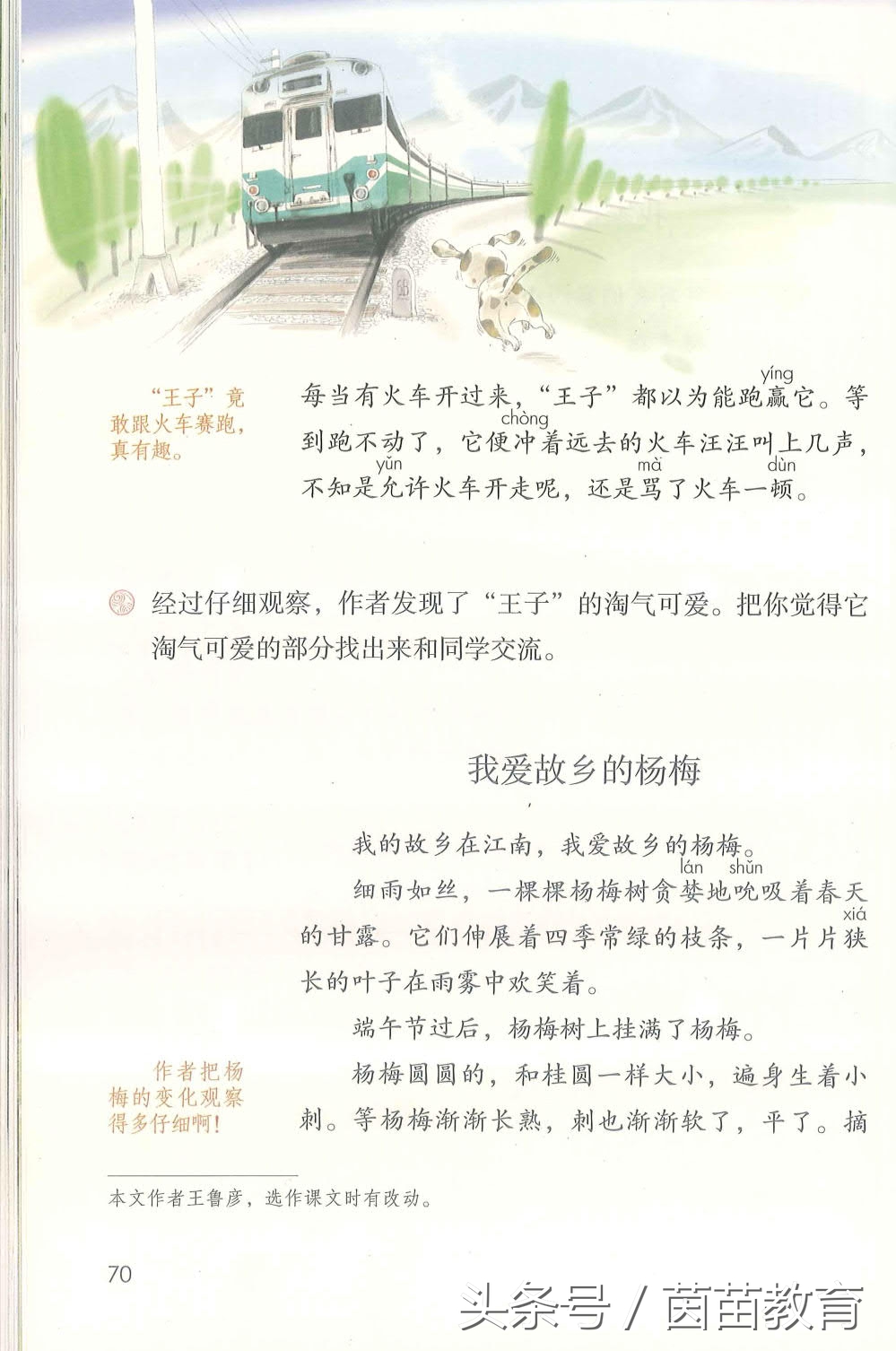 部编新人教版三年级下册语文书,部编版新人教版三年级语文