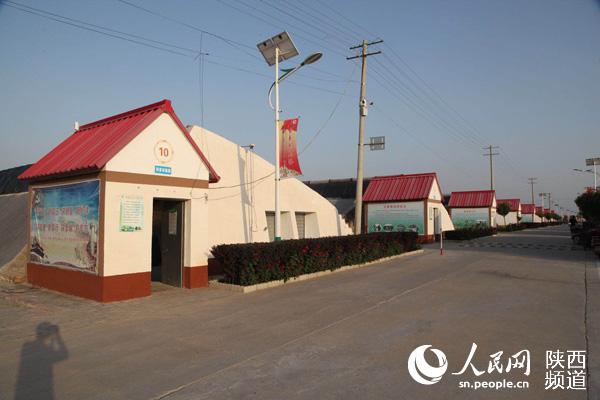 大荔县美丽乡村成果,大荔乡村振兴工作