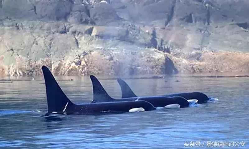 朋友圈里卖低价服装的真相,代购骗局揭秘朋友圈